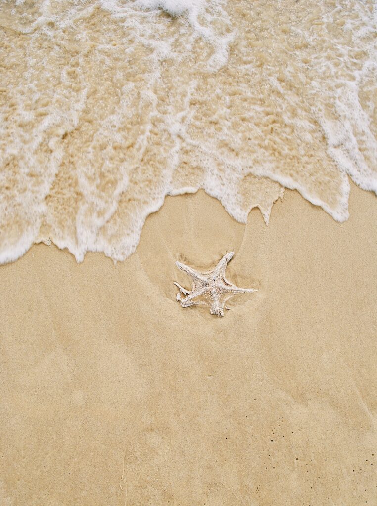 Sand approaching a star fish on white sandy beaches.