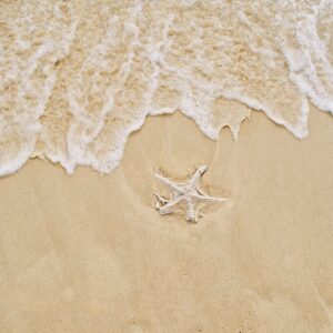 Sand approaching a star fish on white sandy beaches.