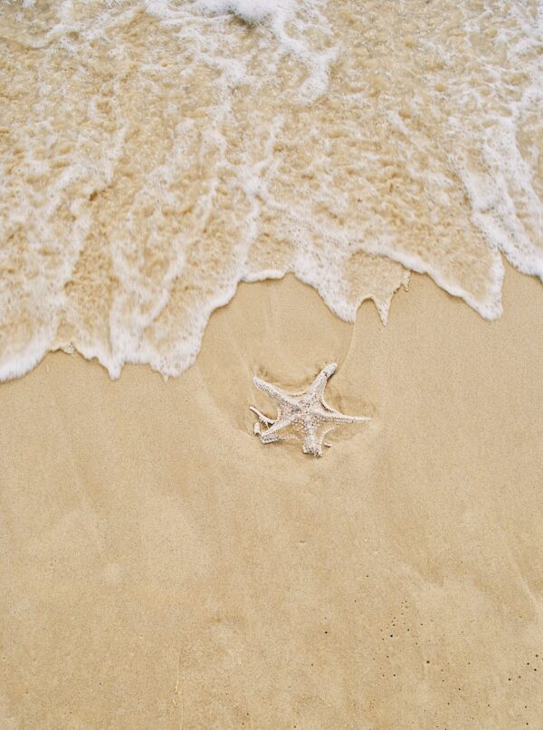 Sand approaching a star fish on white sandy beaches.