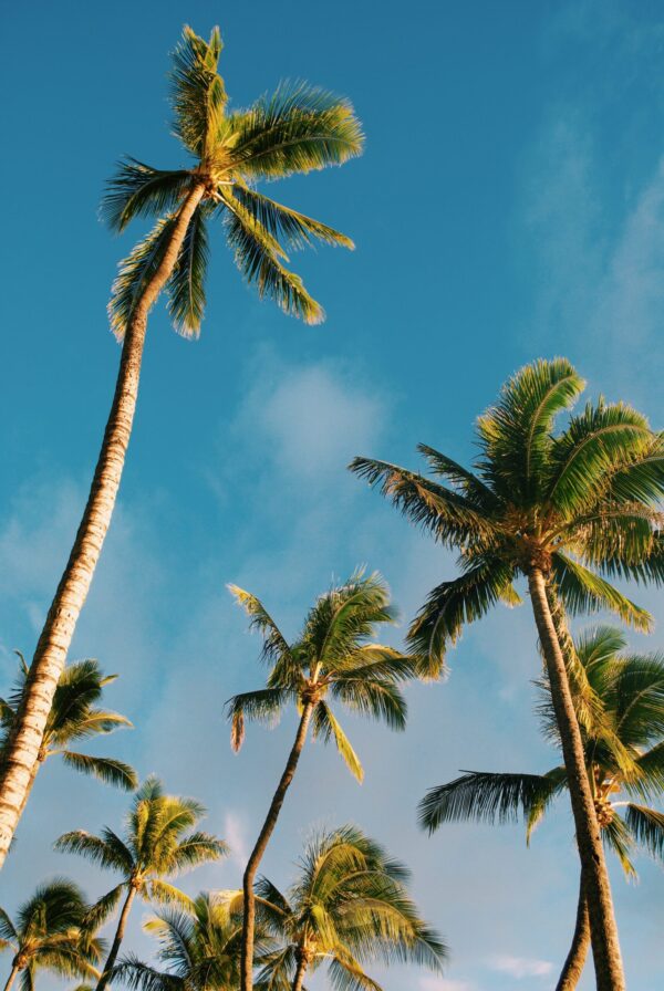 Kaanapali Beach, Hawaii