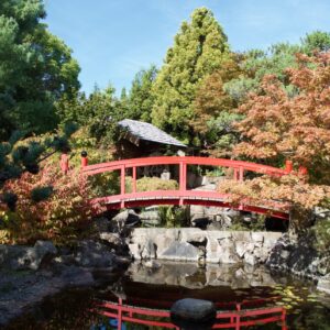 Royal Tasmanian Botanical Gardens