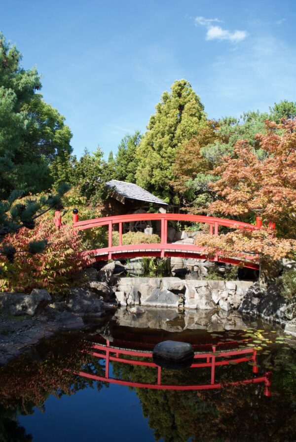 Royal Tasmanian Botanical Gardens