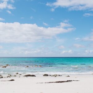 Tasmania Sea, Tasmania